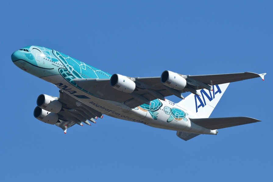 成田-ホノルル間を定期運航するANA「FLYING HONU」