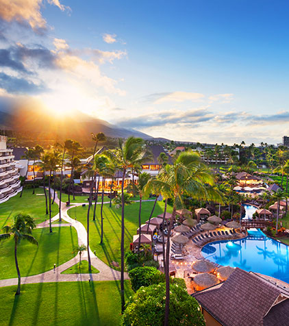 写真:ホテル敷地内